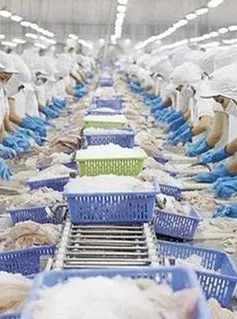 Xuất khẩu thủy sản nhiều gam màu sáng