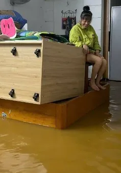 Mưa lớn gây sạt lở, ngập lụt cục bộ nhiều nơi tại Lai Châu