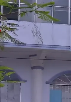 Đất vàng bỏ hoang giữa lòng Cà Mau: Lãng phí kéo dài, vướng mắc chưa tháo gỡ