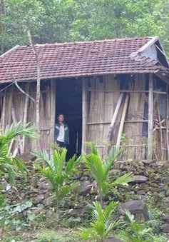 Thủ tướng yêu cầu quyết tâm hoàn thành xóa nhà tạm, nhà dột nát trước 31/8