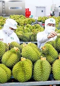 Sức hút của nông sản Việt