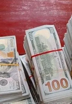 Vụ buôn lậu gỗ ván 1.800 tỷ: Cán bộ hải quan nhận “lót tay” hơn 8 tỷ đồng