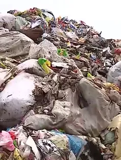 Bãi rác ở "thủ phủ bánh kẹo" Hà Nội chất đầy sản phẩm hết hạn, không rõ nguồn gốc