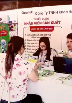 Đầu tư dịch vụ việc làm là chiến lược dài hạn nâng cao chất lượng lao động