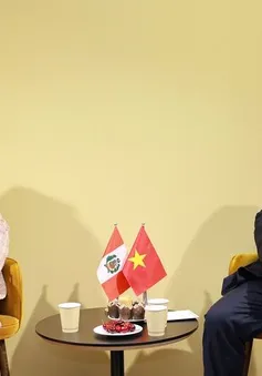 Tổng thống Peru: Việt Nam luôn là đối tác quan trọng hàng đầu ở khu vực