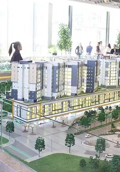 Thường trực Chính phủ: Làm rõ nguyên nhân làm tăng cơ cấu giá bất động sản