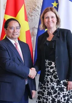 Đưa quan hệ Việt Nam-Pháp ngày càng đi vào chiều sâu, hiệu quả, thiết thực