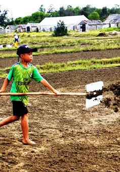 Ngày hè của những “diêm dân nhí”
