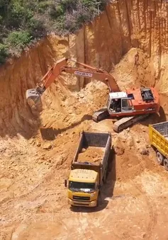 Bình Định: Ngang nhiên khai thác đất trái phép