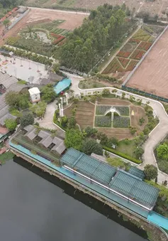 Huyện Phúc Thọ (Hà Nội): Nhiều sai phạm đất đai bị lật lại, loạt nguyên lãnh đạo đối mặt xử lý