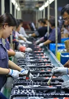 "Cuộc chiến" giá cả lan rộng ở Trung Quốc