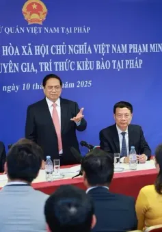 Thủ tướng Phạm Minh Chính đặt hàng chuyên gia, trí thức kiều bào thực hiện nhiệm vụ khoa học, công nghệ