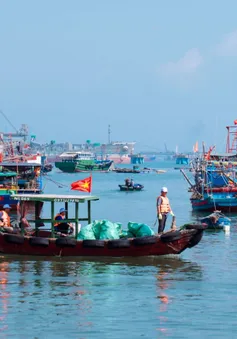 Hơn 400 người tham gia chiến dịch làm sạch bãi biển quy mô lớn tại Vịnh Nghi Sơn