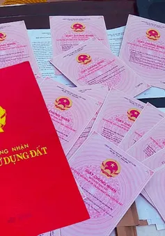 Dàn cảnh bán đất, lừa chiếm 8 tỷ bằng sổ đỏ giả
