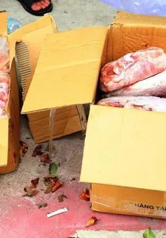 Kho chứa 11 tấn thực phẩm hết hạn, không nguồn gốc tại Bình Dương