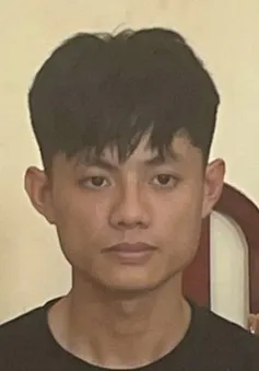 Lợi dụng thiếu nữ say rượu đưa vào nhà nghỉ hiếp dâm