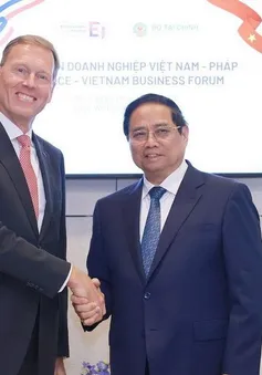 Nhiều tập đoàn Pháp muốn mở rộng đầu tư, hợp tác với Việt Nam