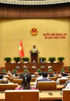 Truyền hình trực tiếp: Quốc hội thảo luận về dự thảo Nghị quyết sửa đổi Hiến pháp