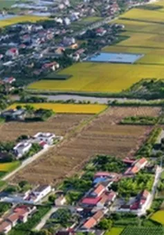ĐBQH: Miễn thuế sử dụng đất nông nghiệp cần có điều kiện ràng buộc