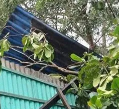 Dông lốc làm tốc mái 7 căn nhà ở Bạc Liêu, thiệt hại khoảng 300 triệu đồng