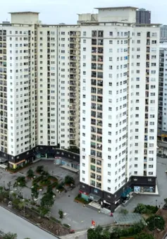Trợ lực cho người trẻ mua nhà ở xã hội