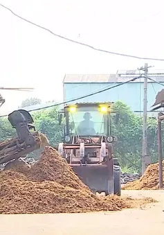 Nhiều nhà máy giấy nguy cơ gây ô nhiễm môi trường tại Yên Bái