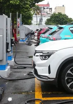 Cục Đăng kiểm Việt Nam: Sẽ thay đổi toàn diện quy trình kiểm định xe điện