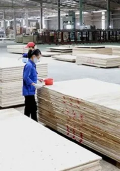 Thách thức xuất khẩu 18 tỷ USD xuất khẩu của ngành gỗ
