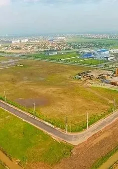 Tạm dừng giải quyết nhiều thủ tục đất đai trước sáp nhập tỉnh