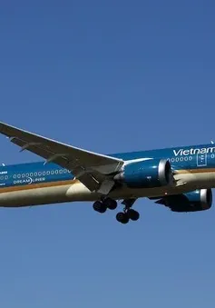 Sẽ có đường bay đầu tiên giữa Việt Nam và khu vực Scandinavia
