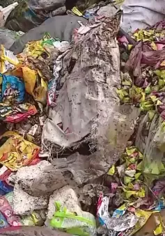 Kẽ hở quản lý kinh doanh hàng giả, hàng nhái