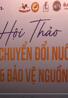 Hội thảo giải pháp chuyển đổi nuôi trồng và bảo vệ nguồn lợi biển