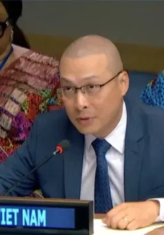 Việt Nam cùng Liên hợp quốc khẳng định cam kết bảo vệ quyền của người khuyết tật