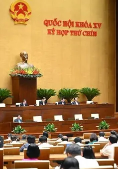 Công ty con, liên kết không được hưởng thuế ưu đãi thu nhập doanh nghiệp