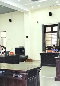 Lừa tiền bằng sổ đỏ giả, cựu nhân viên đất đai lĩnh án gần 20 năm tù