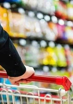 Hàng giả, hàng nhái: Vì sao “con voi” chui lọt “lỗ kim”?