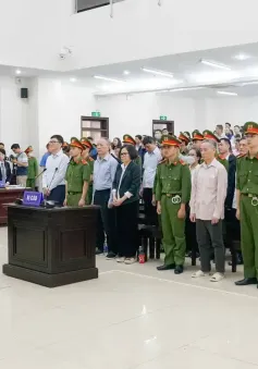 Anh em cựu Chủ tịch FLC nộp đủ gần 2.500 tỷ đồng khắc phục hậu quả trước phiên phúc thẩm