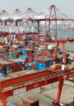 Nhật - Mỹ thúc đẩy đối thoại thuế quan