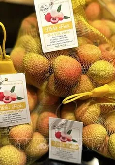 Hơn 100 tấn vải thiều đã xuất khẩu sang Pháp