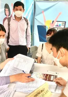 Cần tuyển hơn 94.000 lao động phổ thông tại miền Bắc