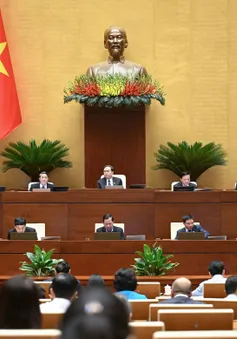 Truyền hình trực tiếp: Quốc hội tiếp tục thảo luận về tình hình kinh tế - xã hội