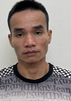Trộm lẻn cửa sổ tầng 2, vơ sạch điện thoại và cả lợn đất