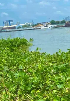 Phát hiện thi thể trẻ sơ sinh trên sông Sài Gòn, TP Hồ Chí Minh