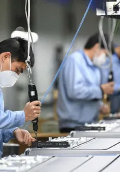 Công chức, viên chức không được thành lập, góp vốn và quản lý doanh nghiệp