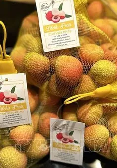 Việt Nam giữ vị trí thứ hai về sản lượng trái vải toàn cầu
