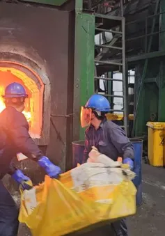 TP Hồ Chí Minh tiêu hủy hơn 500kg ma túy tang vật trong các vụ án hình sự