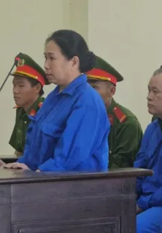 Tráo giấy tờ, giả chủ đất chiếm đoạt 1 tỷ đồng