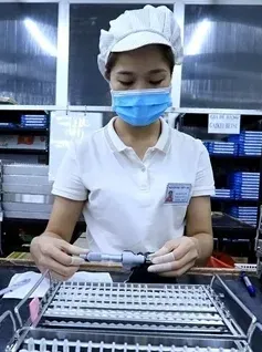 TP Hồ Chí Minh - Điểm sáng thu hút FDI