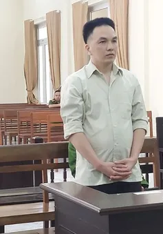 Cựu nhân viên ngân hàng lừa tiền đáo hạn lĩnh 12 năm tù