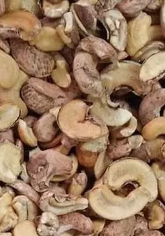 Việt Nam chi hơn 2 tỷ USD nhập khẩu hạt điều